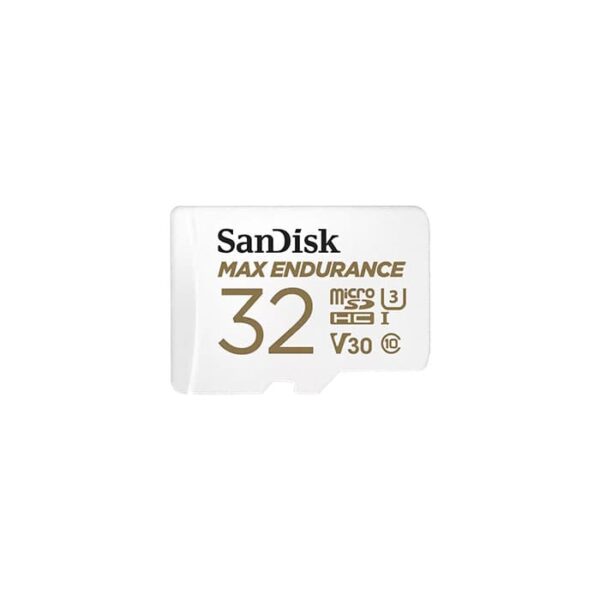 sandisk max endurance 1.jpg