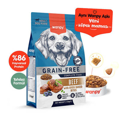 gqrhx194335 wanpy with oven baked bites sigir etli.jpg