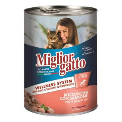 xznqa111323 miglior gatto somon balikli yetiskin k.jpg
