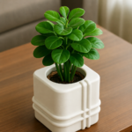 zqoqk112650 2bifn8.png