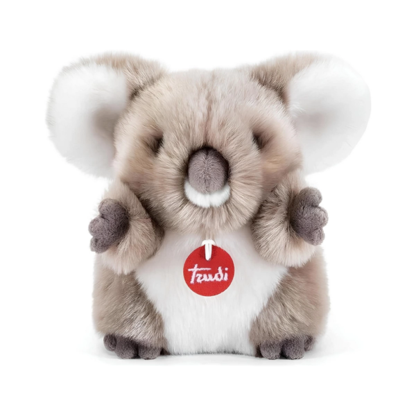 fluffy koala 593662.png
