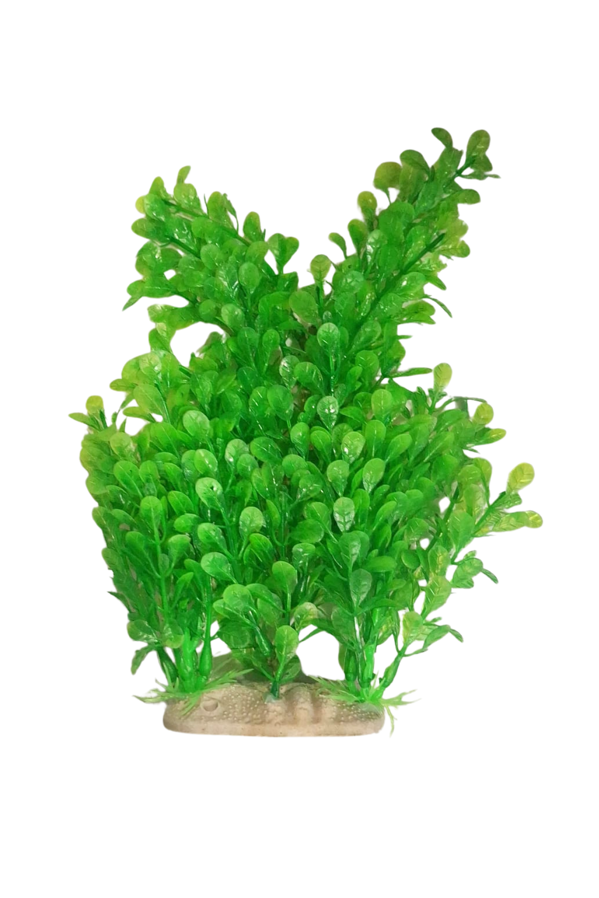 item 84 0hdsy.png item 84 0hdsy.png