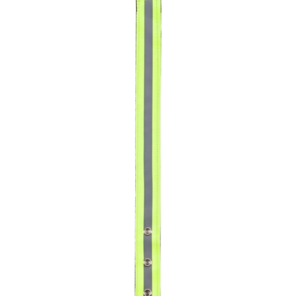 item 84 0nkug.png