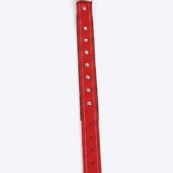 item 84 auyqn.png