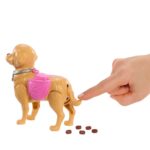 jjb46 barbie ve kopekcigin yuruyus zamani 749991.jpg