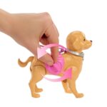 jjb46 barbie ve kopekcigin yuruyus zamani 749992.jpg