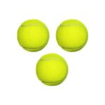 petzoom kopek oyun topu tenis topu resim 570.jpg