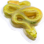 slimy yilan labaratuvari 758843.png